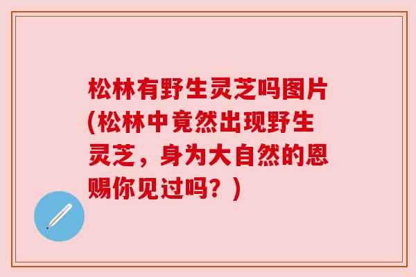 松林有野生灵芝吗图片(松林中竟然出现野生灵芝，身为大自然的恩赐你见过吗？)