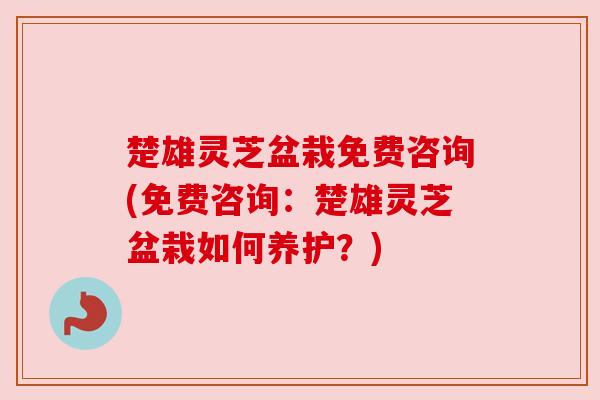 楚雄灵芝盆栽免费咨询(免费咨询:楚雄灵芝盆栽如何养护?)