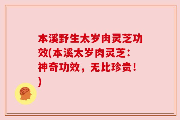 本溪野生太岁肉灵芝功效(本溪太岁肉灵芝:神奇功效,无比珍贵!)