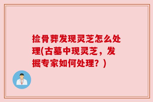 捡骨葬发现灵芝怎么处理(古墓中现灵芝，发掘专家如何处理？)