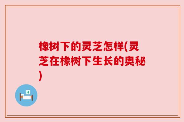 橡树下的灵芝怎样(灵芝在橡树下生长的奥秘)