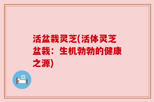 活盆栽灵芝(活体灵芝盆栽:生机勃勃的健康之源)