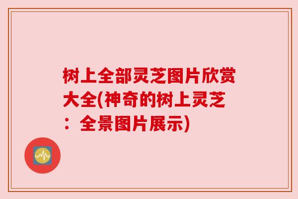 树上全部灵芝图片欣赏大全(神奇的树上灵芝:全景图片展示)