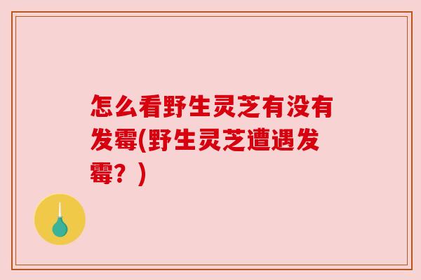 怎么看野生灵芝有没有发霉(野生灵芝遭遇发霉?)