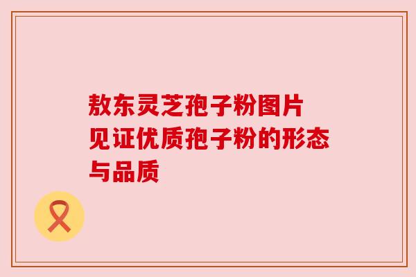 敖东灵芝孢子粉图片 见证优质孢子粉的形态与品质