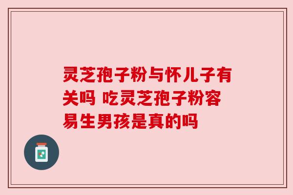 灵芝孢子粉与怀儿子有关吗 吃灵芝孢子粉容易生男孩是真的吗