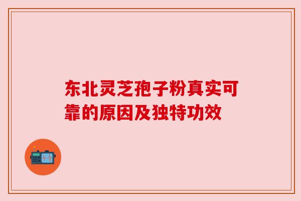 东北灵芝孢子粉真实可靠的原因及独特功效