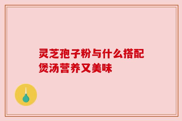 灵芝孢子粉与什么搭配煲汤营养又美味