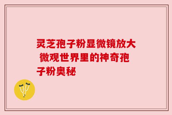 灵芝孢子粉显微镜放大 微观世界里的神奇孢子粉奥秘