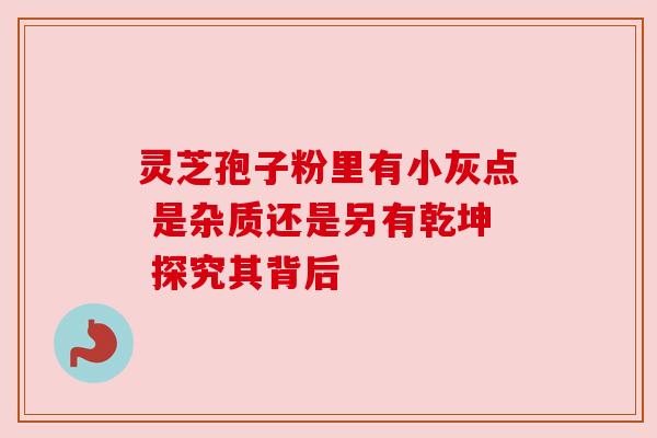 灵芝孢子粉里有小灰点 是杂质还是另有乾坤 探究其背后