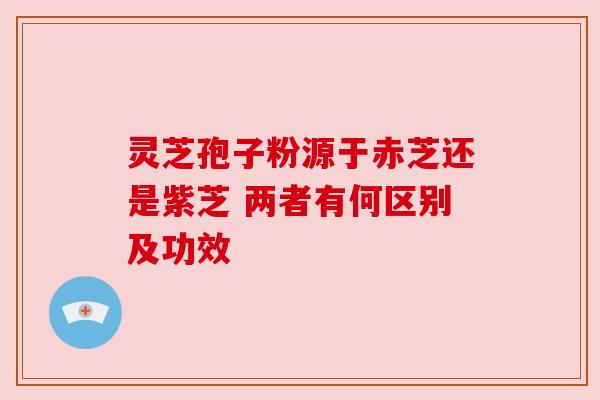 灵芝孢子粉源于赤芝还是紫芝 两者有何区别及功效