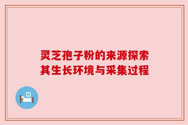 灵芝孢子粉的来源探索其生长环境与采集过程