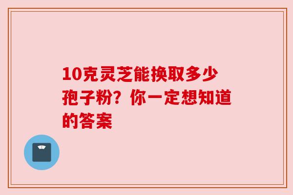 10克灵芝能换取多少孢子粉?你一定想知道的答案