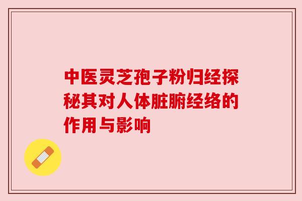 中医灵芝孢子粉归经探秘其对人体脏腑经络的作用与影响