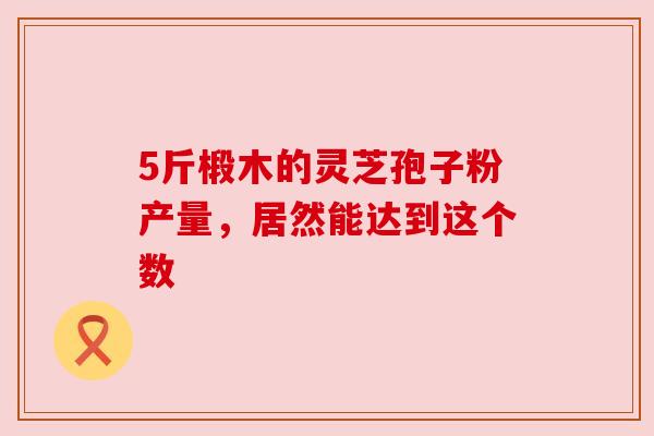 5斤椴木的灵芝孢子粉产量,居然能达到这个数