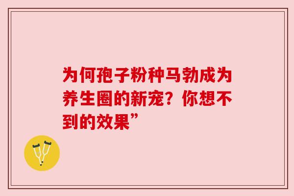 为何孢子粉种马勃成为养生圈的新宠?你想不到的效果”
