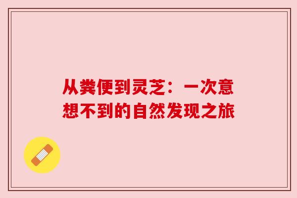 从粪便到灵芝:一次意想不到的自然发现之旅