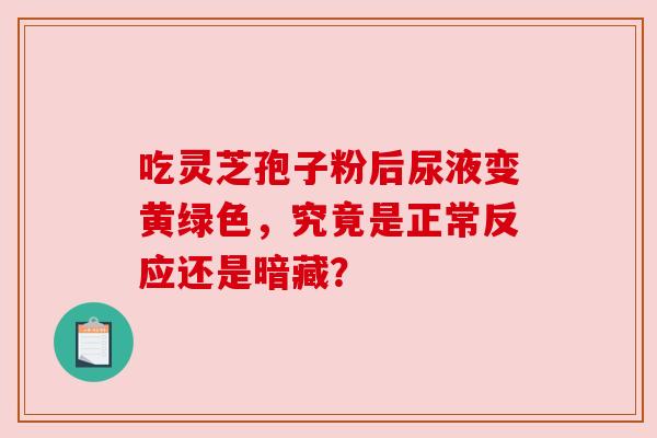 吃灵芝孢子粉后尿液变黄绿色，究竟是正常反应还是暗藏？