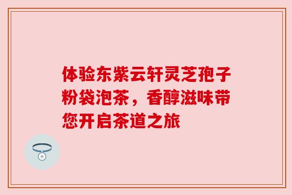 体验东紫云轩灵芝孢子粉袋泡茶，香醇滋味带您开启茶道之旅
