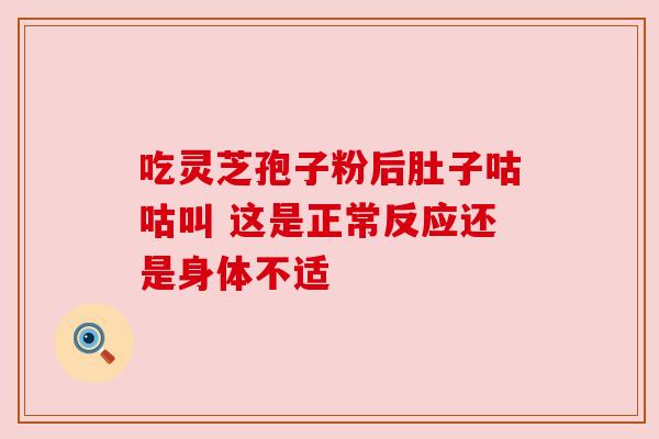 吃灵芝孢子粉后肚子咕咕叫 这是正常反应还是身体不适
