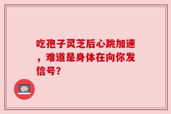 吃孢子灵芝后心跳加速，难道是身体在向你发信号？