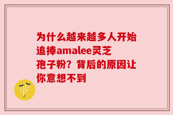 为什么越来越多人开始追捧amalee灵芝孢子粉?背后的原因让你意想不到