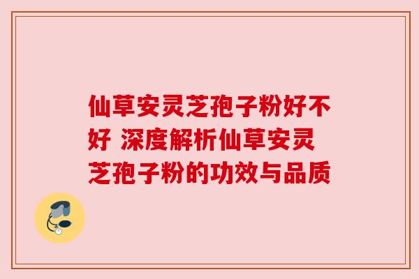 仙草安灵芝孢子粉好不好 深度解析仙草安灵芝孢子粉的功效与品质
