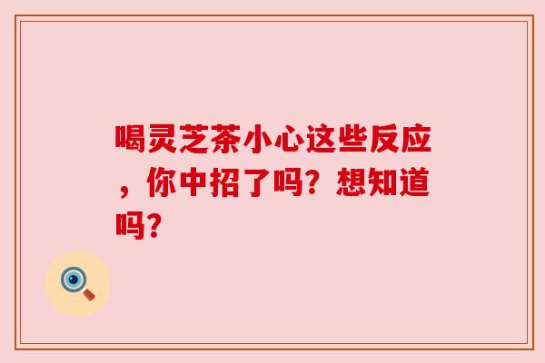 喝灵芝茶小心这些反应,你中招了吗?想知道吗?