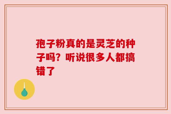 孢子粉真的是灵芝的种子吗？听说很多人都搞错了