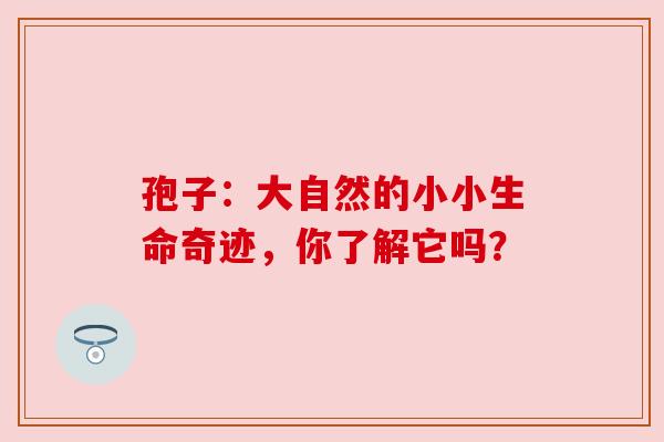 孢子:大自然的小小生命奇迹,你了解它吗?