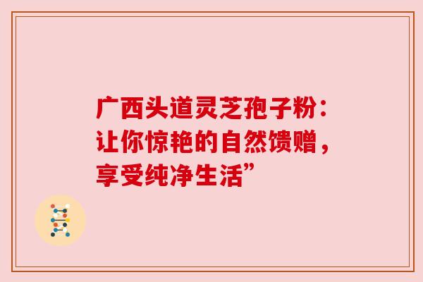 广西头道灵芝孢子粉：让你惊艳的自然馈赠，享受纯净生活”