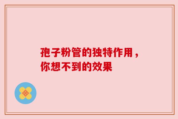 孢子粉管的独特作用,你想不到的效果